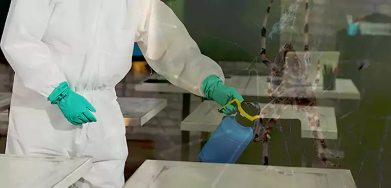 Why Buyers Still Want Homes With Pest Infestations in Pembroke Pines, FL?